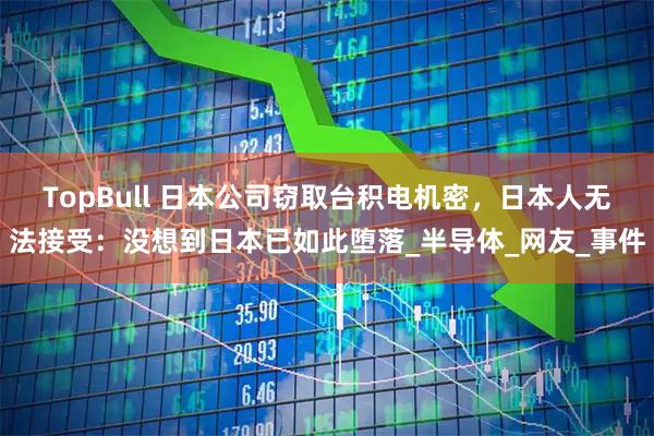 TopBull 日本公司窃取台积电机密，日本人无法接受：没想到日本已如此堕落_半导体_网友_事件