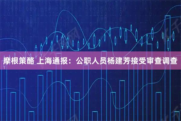 摩根策酪 上海通报：公职人员杨建芳接受审查调查
