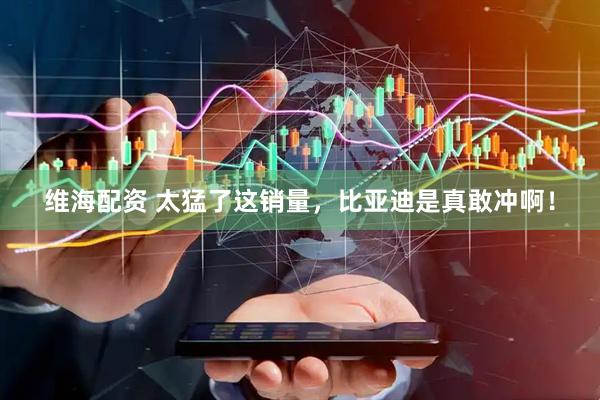维海配资 太猛了这销量，比亚迪是真敢冲啊！