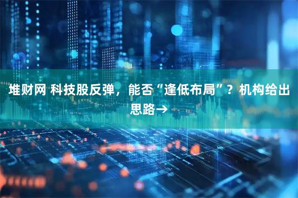 堆财网 科技股反弹,能否“逢低布局”?机构给出思路→